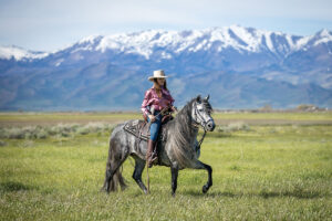 Meet the Peruvian Horse