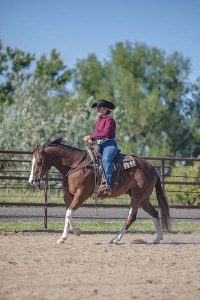 ranch riding