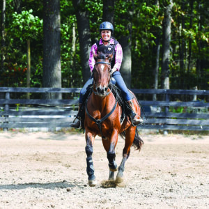 Coming Back to Horses as an Adult Equestrian