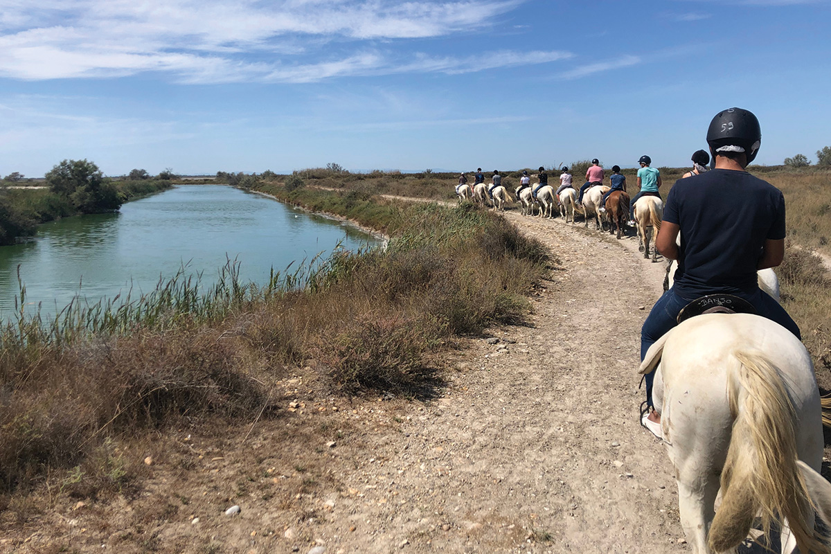 A horseback ride through the Camargue region