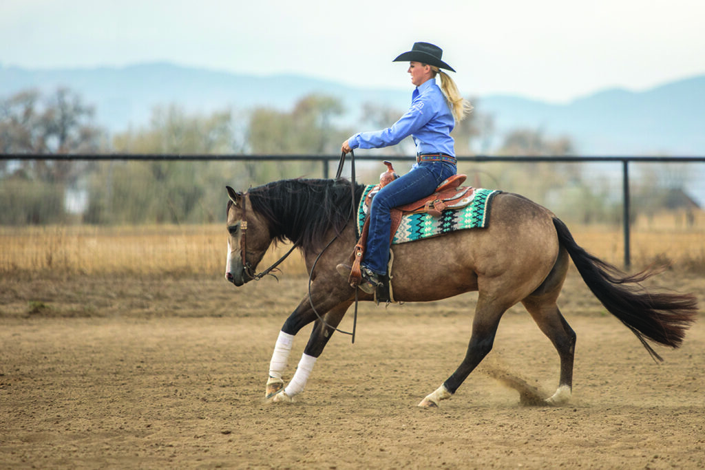 horse reining rundown