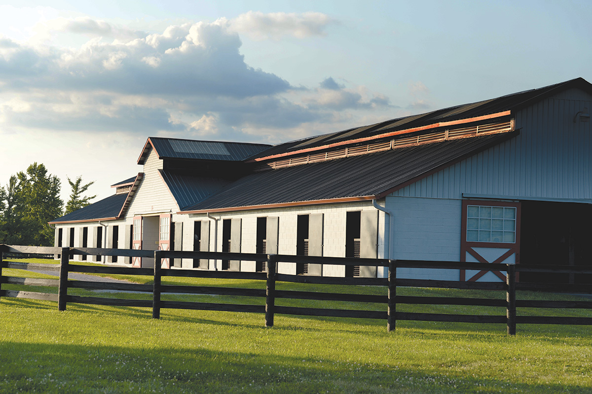 The Taylor Made School of Horsemanship is based at Taylor Made Farm, where this white and red barn houses horses