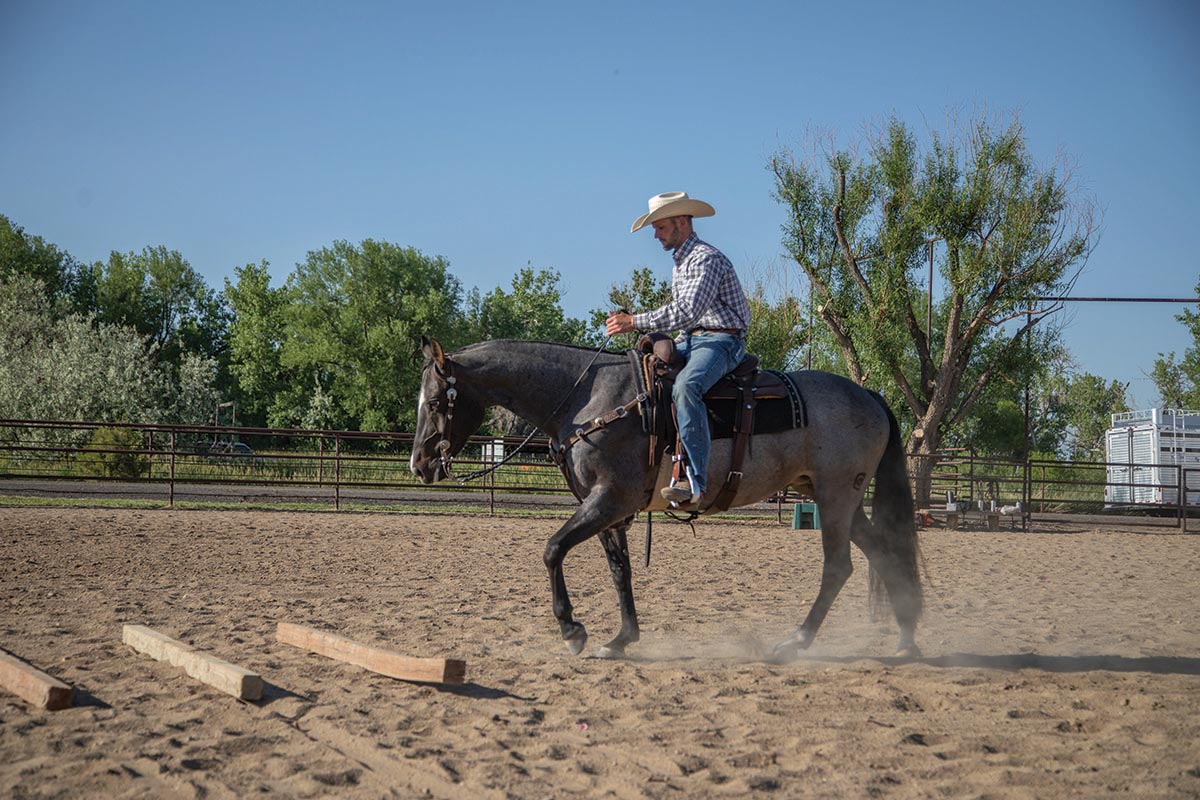 riding over logs