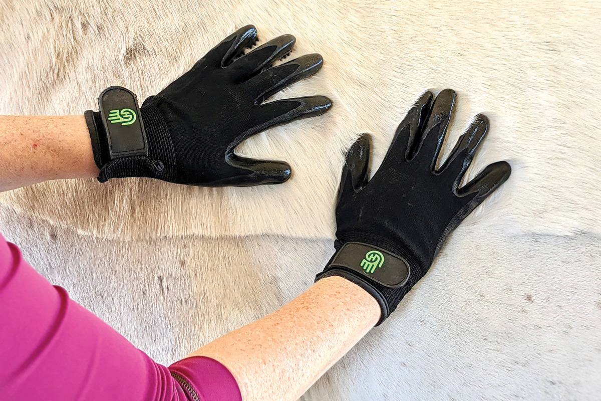 Grooming gloves being used on a horse's winter coat