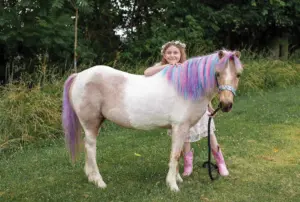 Adopting a Senior Horse