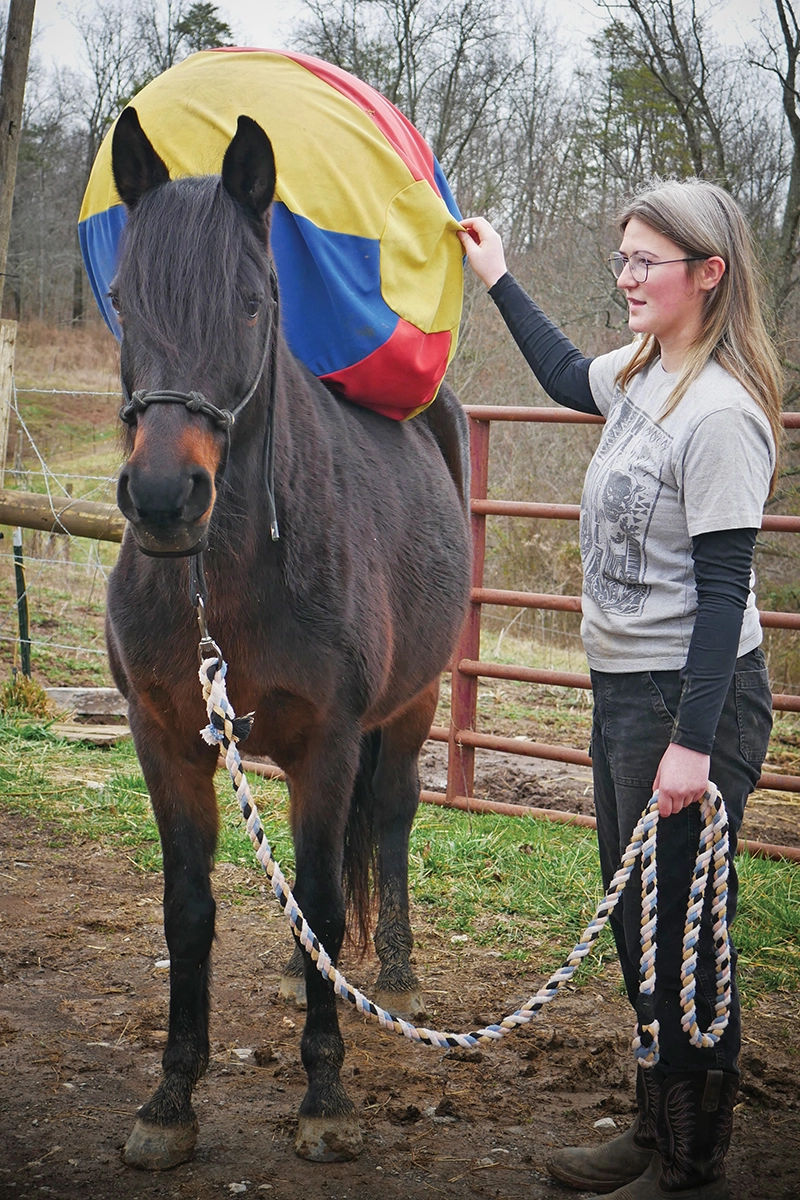 A foster working with a horse during Foster Appreciation Week.