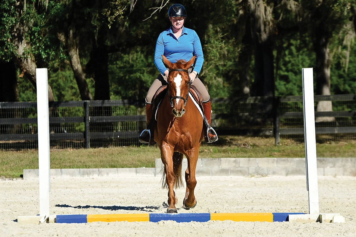 Allison keeps her horse straight over the ground pole to help with balance.