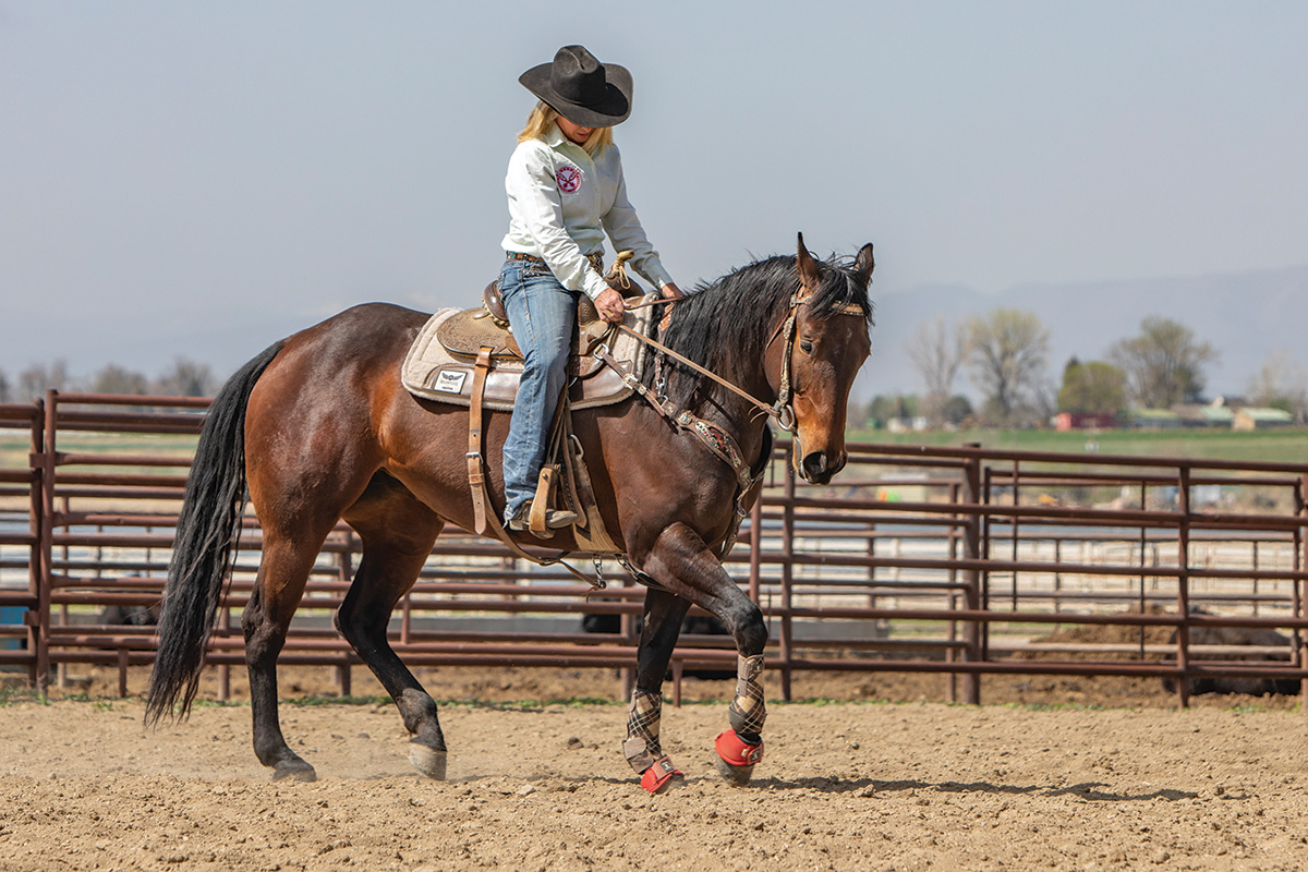 A cowgirl jogs her horse