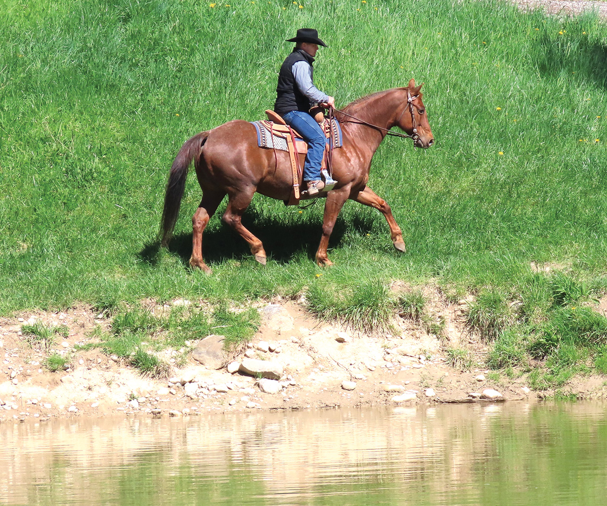 A cowboy rides a horse alongside a river bank