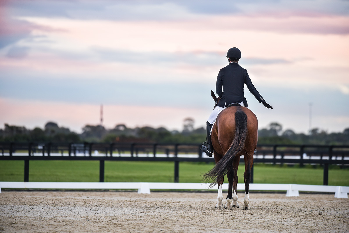 A halt on horseback at sunset