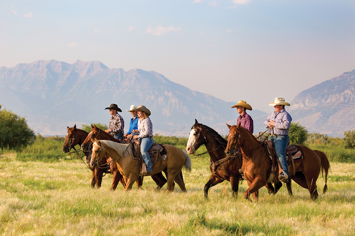 Cowboys and cowgirls riding in the mountains