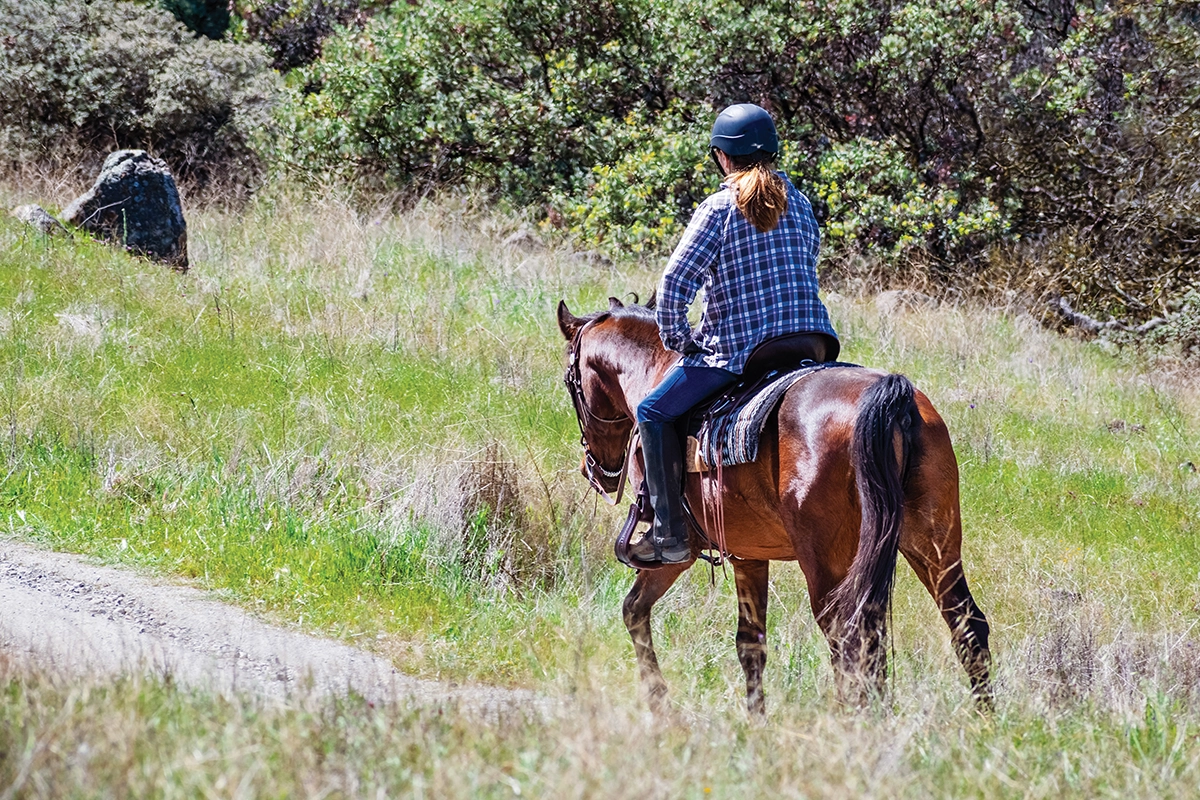 A rider and horse trail riding.