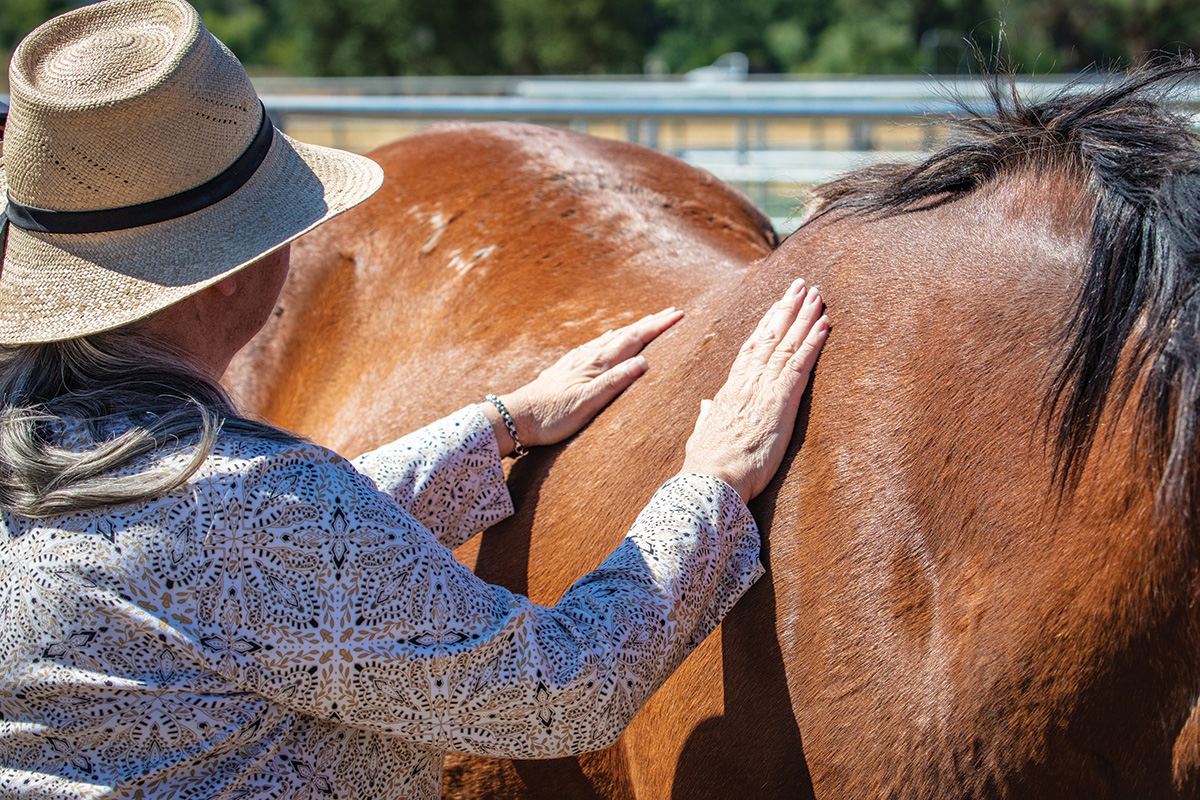 A woman presses her hands to a horse's body