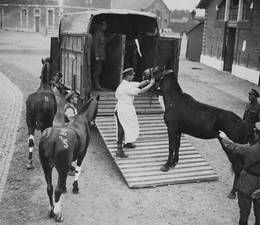 The Evolution of Horse Trailers Horses load into one of the earliest vehicle-drawn horse trailers in Scotland during World War I, circa 1916-1918.