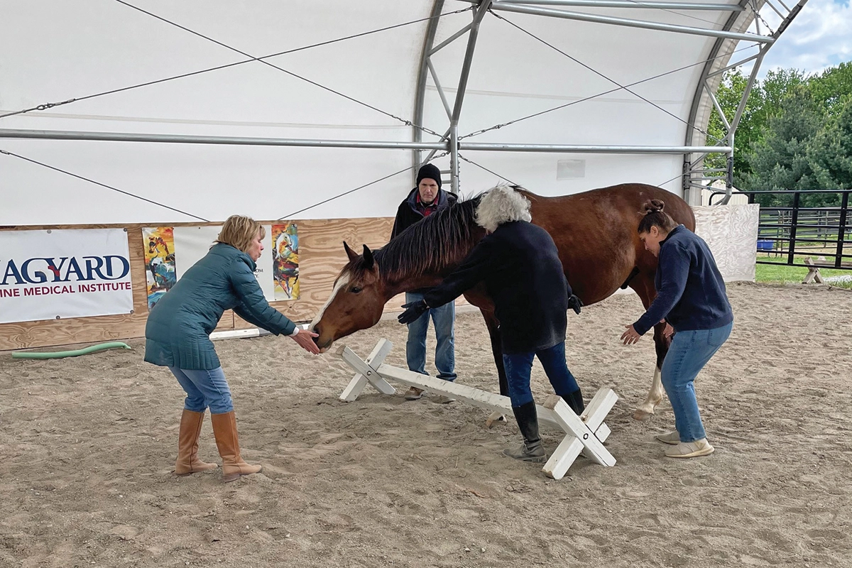The Stable Foundations course.