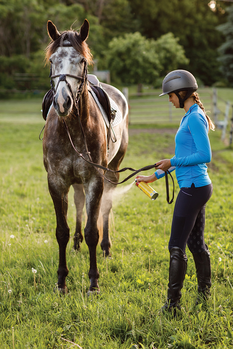 An equestrian spraying fly repellent on her horse