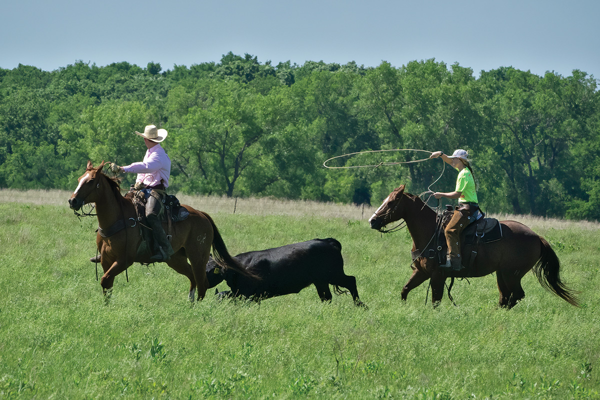 Two riders rope a steer in a field