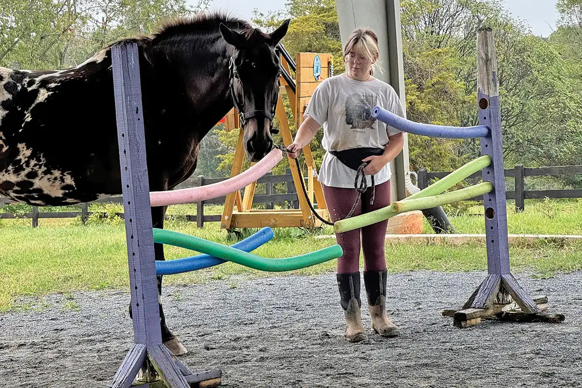 Have Fun with Horse Agility