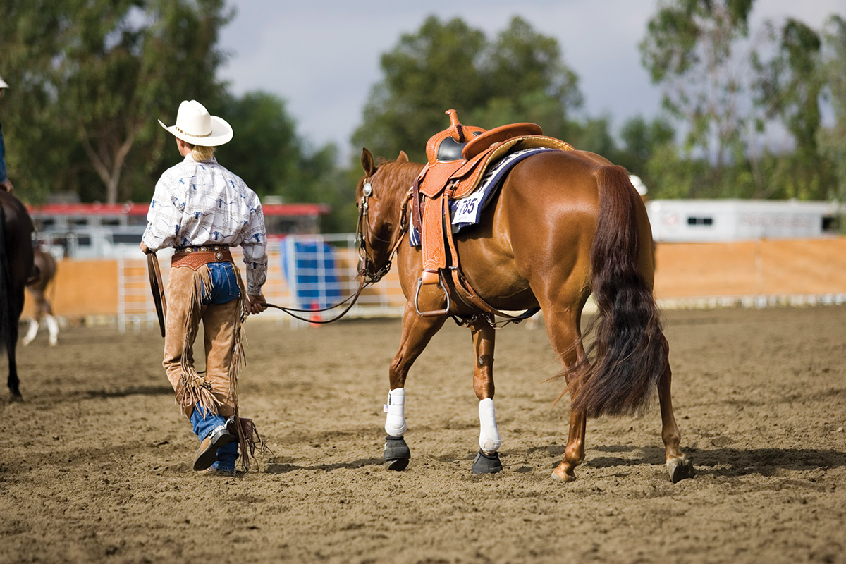 A western rider leading a sorrel out of the arena