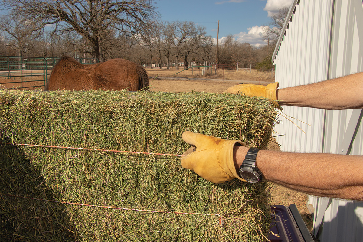 Alfalfa hay being unloaded.