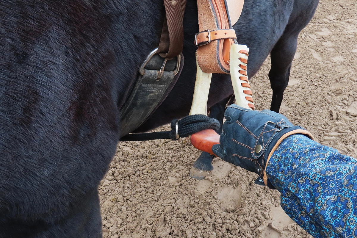 Tying the stirrups to keep them from flopping around.