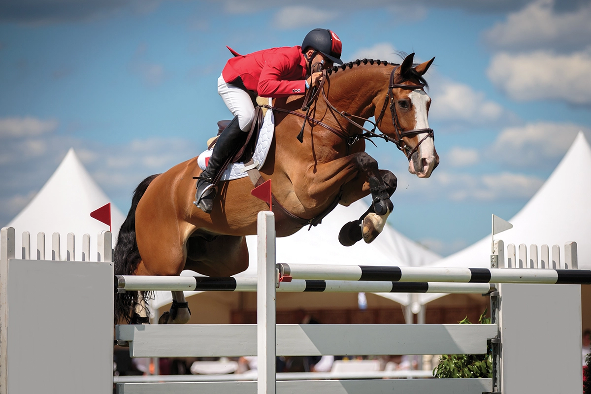 Show jumping.