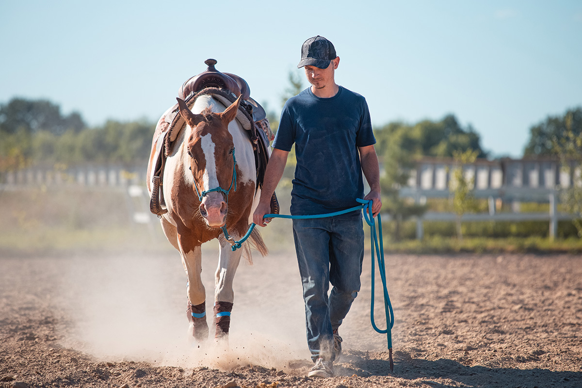 A man leading a pinto out of an arena