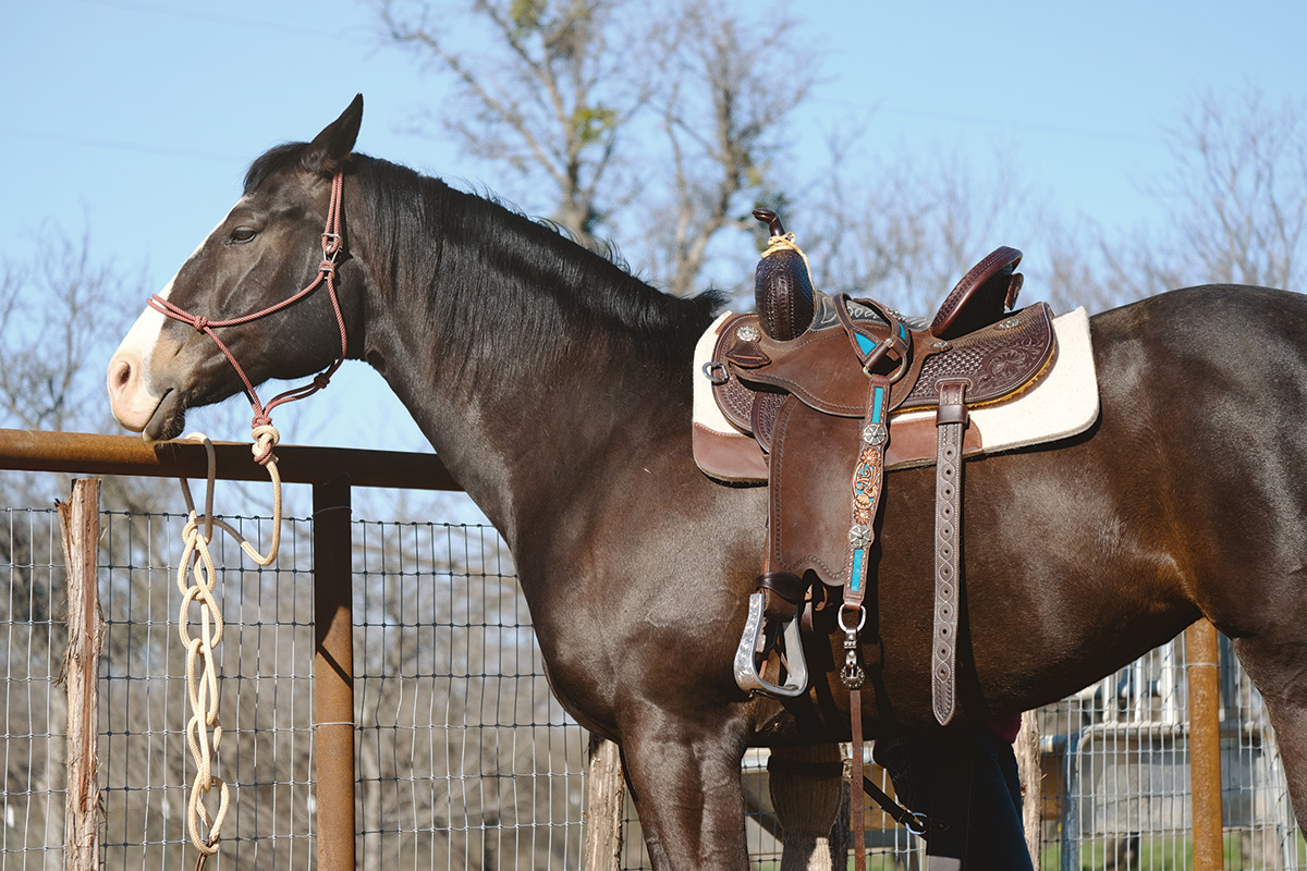 A western horse tied to the fence using safety measures