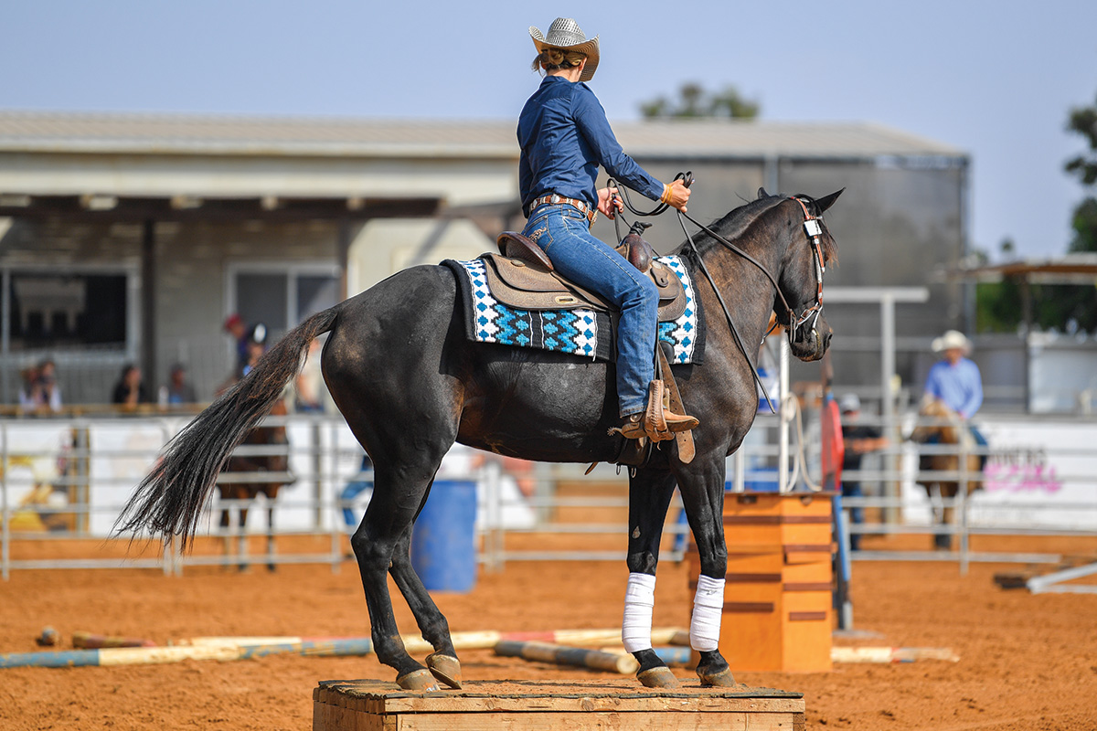 A western horse show trail class