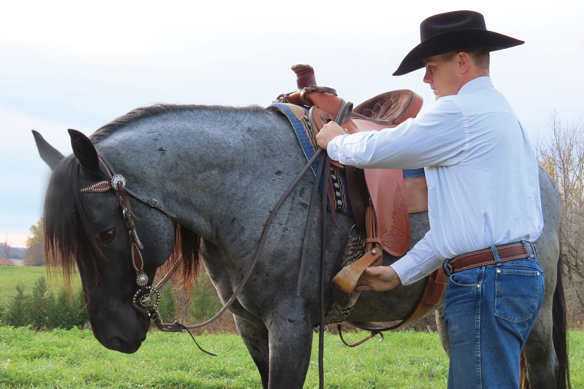 Jason Irwin trains a blue roan