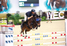 Underdog horse Land Quiproco Do Feroleto competes with his goggles on