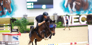 Underdog horse Land Quiproco Do Feroleto competes with his goggles on