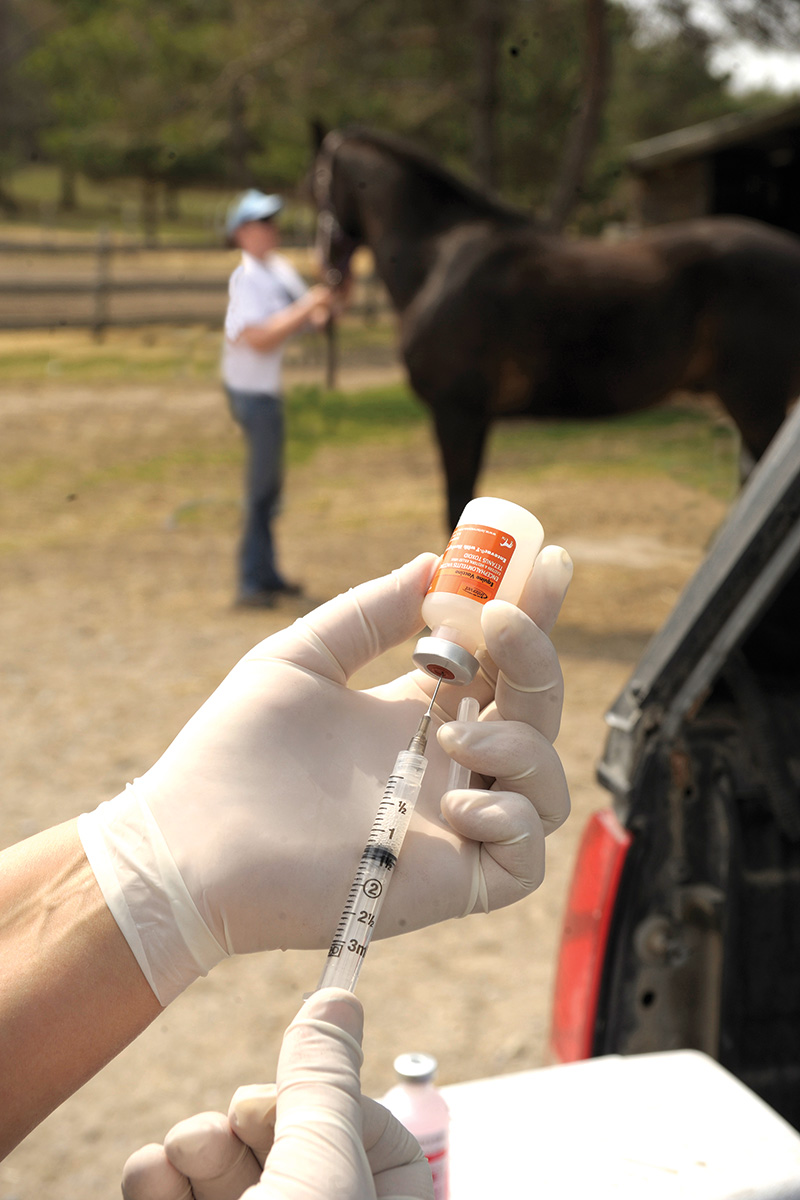 Needle drawing a vaccine