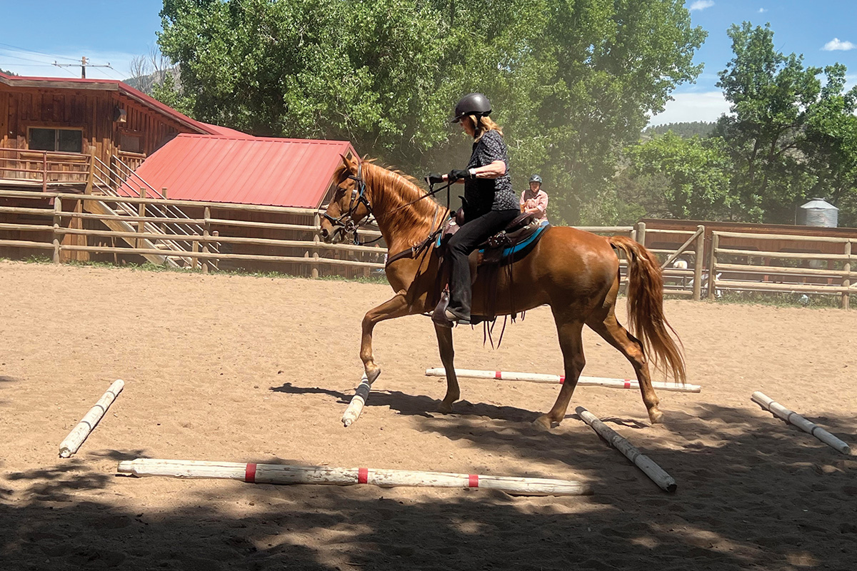 A rider riding trail on her horse, who she lets her horseless friends borrow