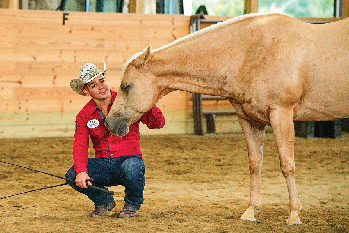 Luke Gingerich connects with a Palomino Quarter Horse gelding