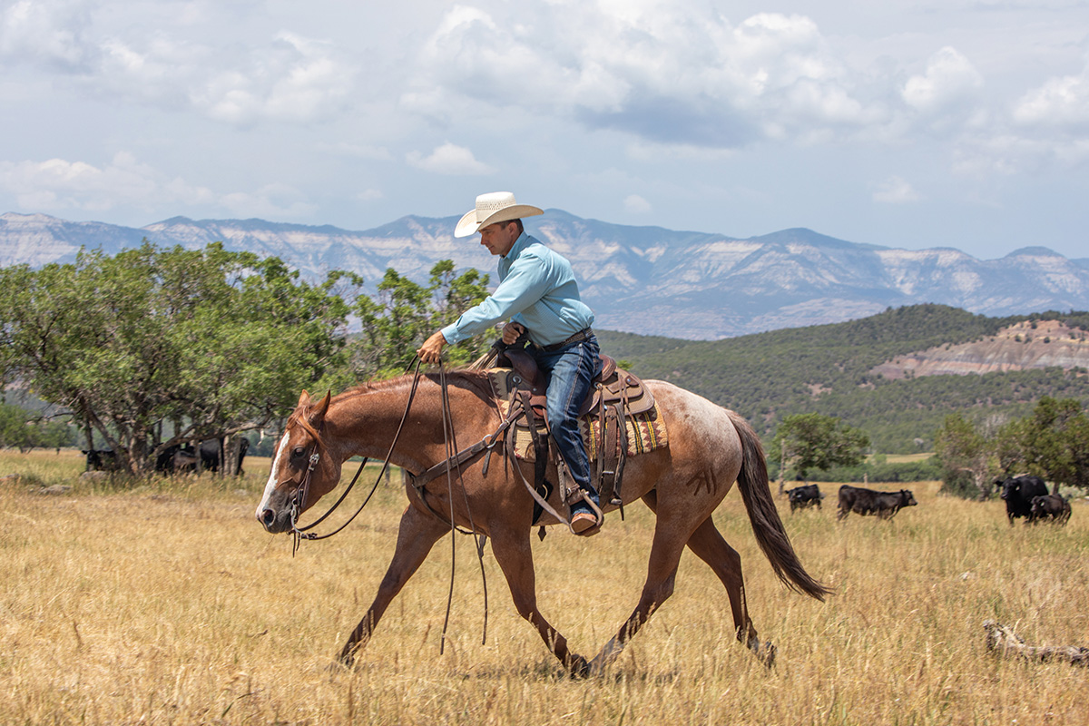 Long trot ranch riding with mountain backdrop