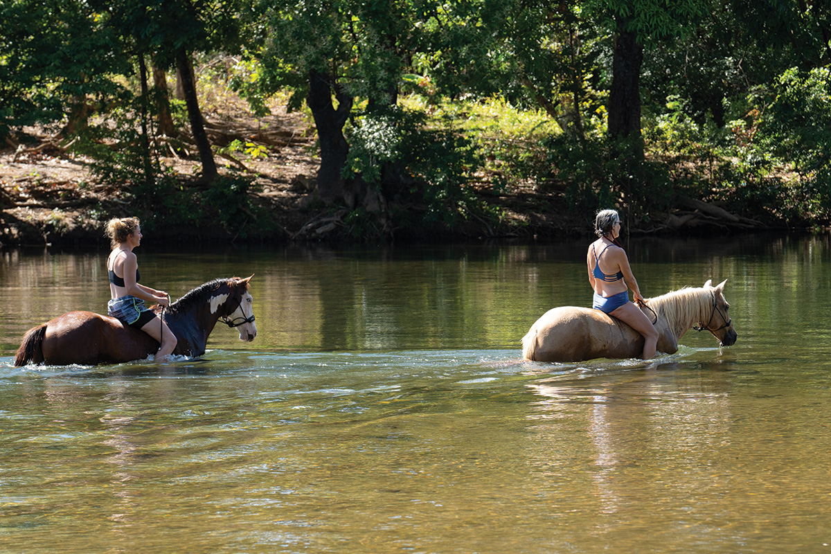 Swimming aboard horses on a trail ride in Panama.