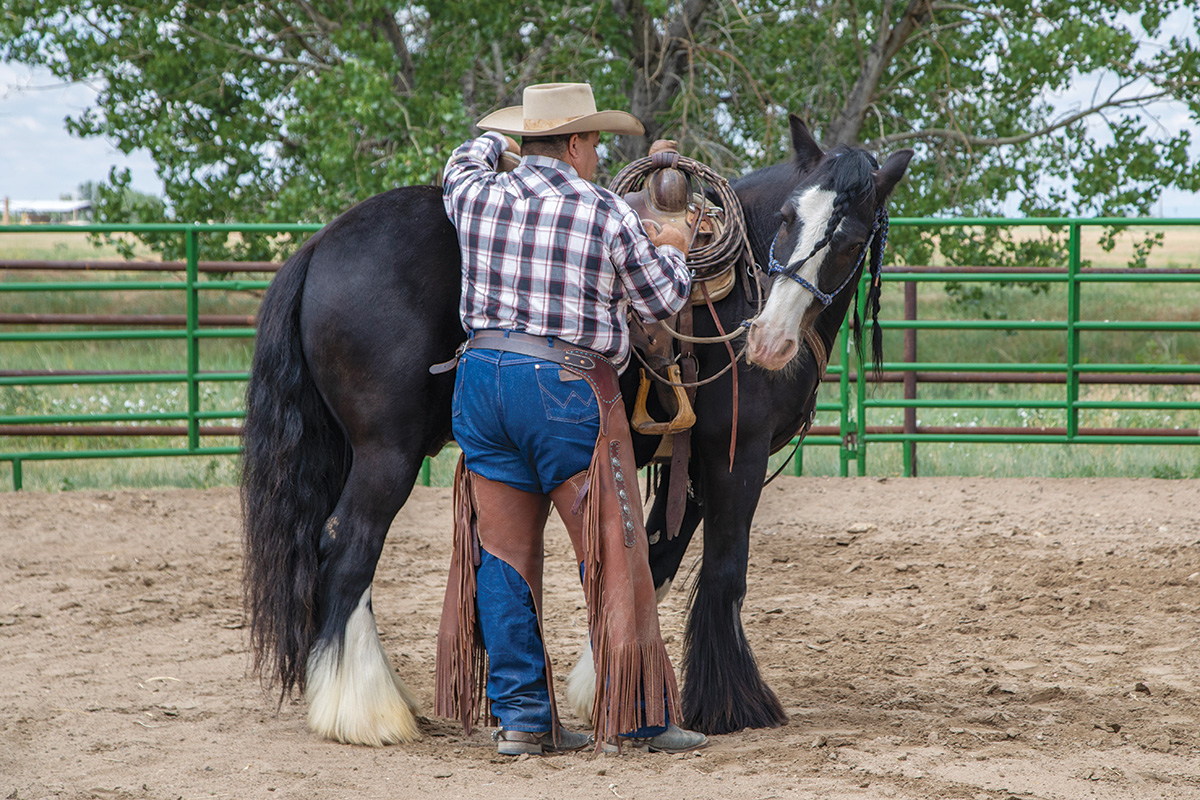 A horseman performing groundwork exercises