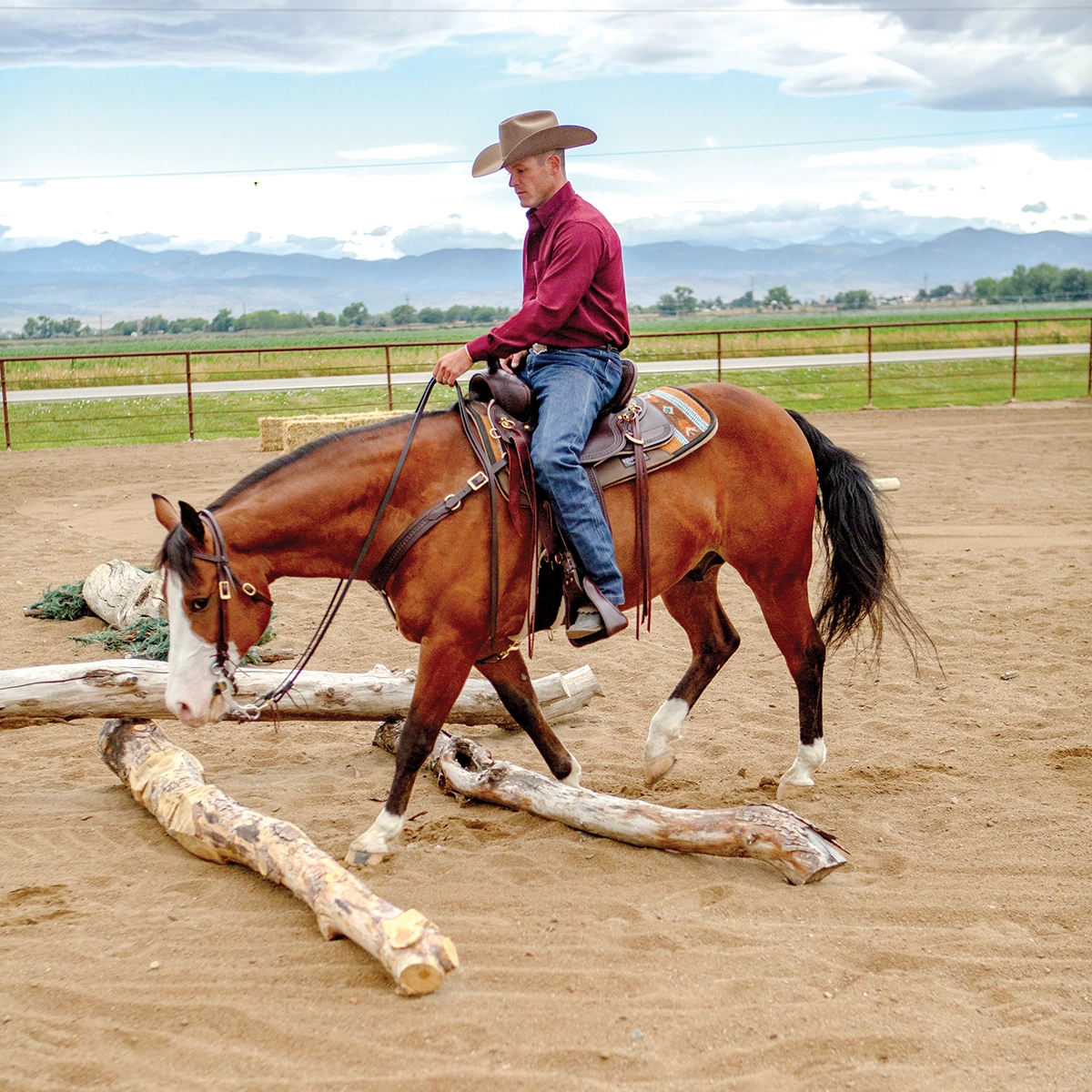 A trainer riding a flashy bay over logs.
