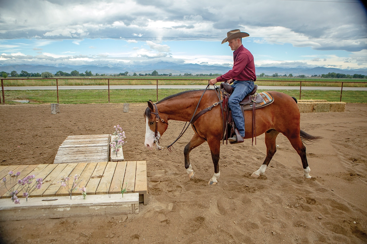 The horse-and-rider team approach the obstacle.