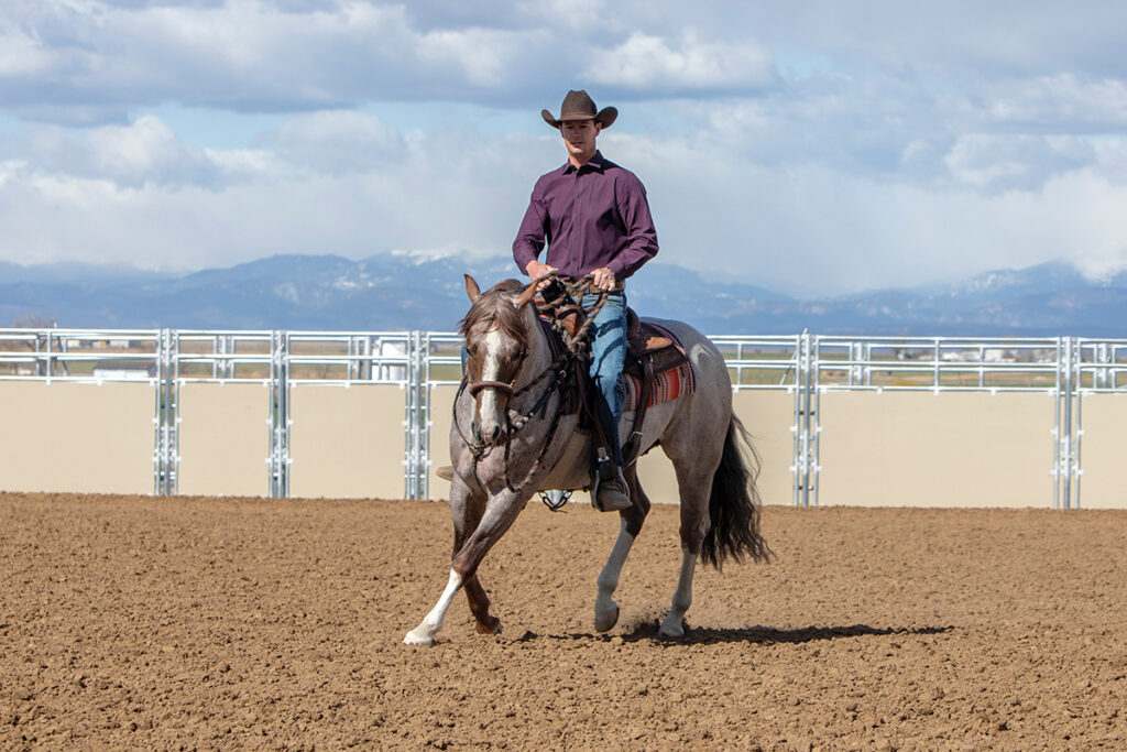 Ranch Riding Trail Warmup for Any Horse - Horse Illustrated