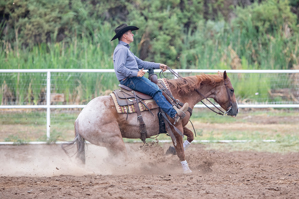 A reining horse providing a sliding stop