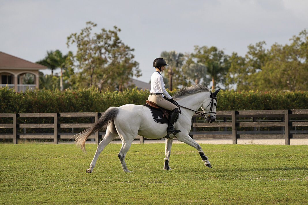 Correct Riding Aids Achieve the Correct Timing of Riding Aids - Horse Illustrated