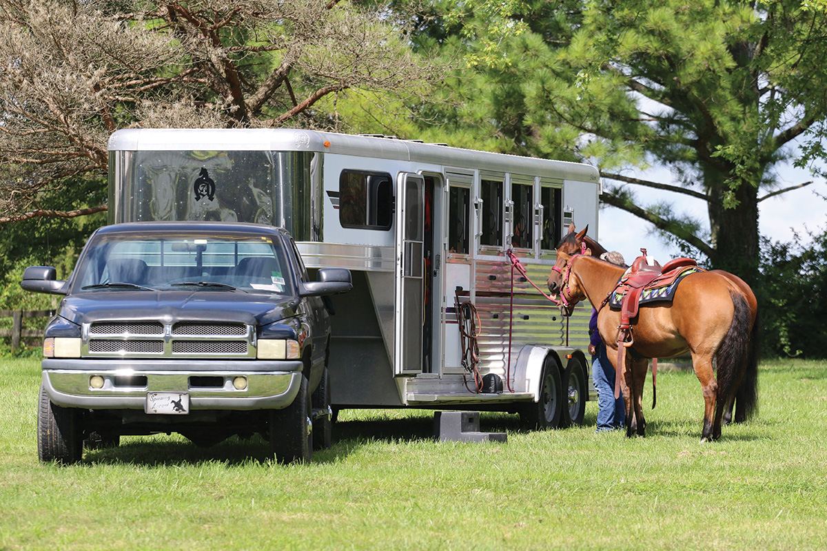 Horses tied to a trailer. It can be easier to find a safe landing for horses with skillsets like these.