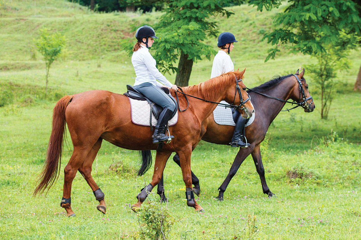 Two horses and riders going for a walk to build spring fitness