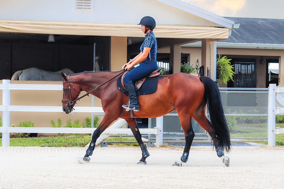 An equestrian rides at a walk