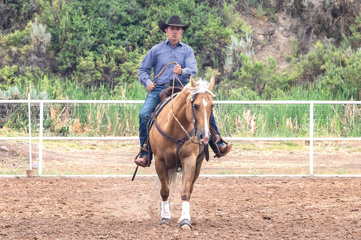 A cowboy rides a palomino horse