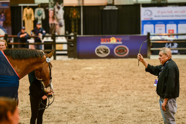 Native American educator with vaulting horse at FEI World Cup in Omaha