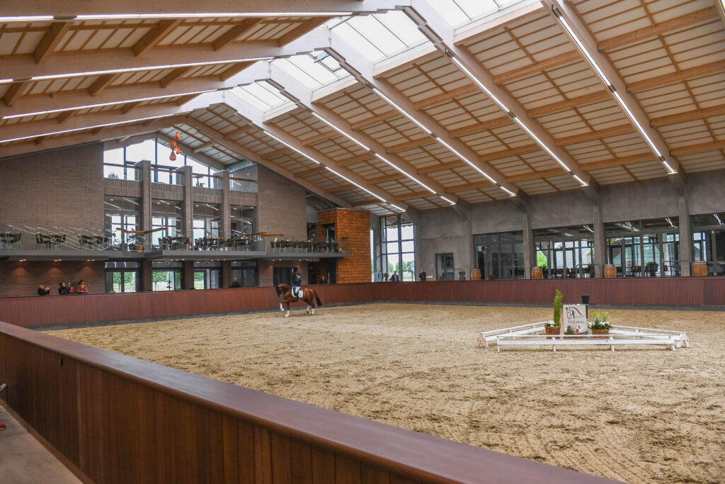 blue hors riding arena