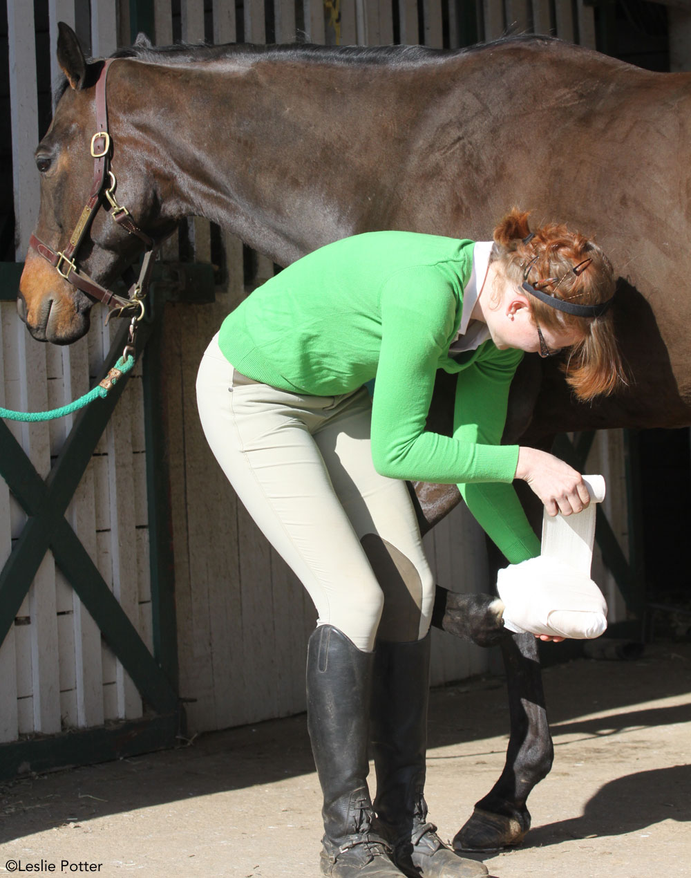 Wrapping a horse's hoof